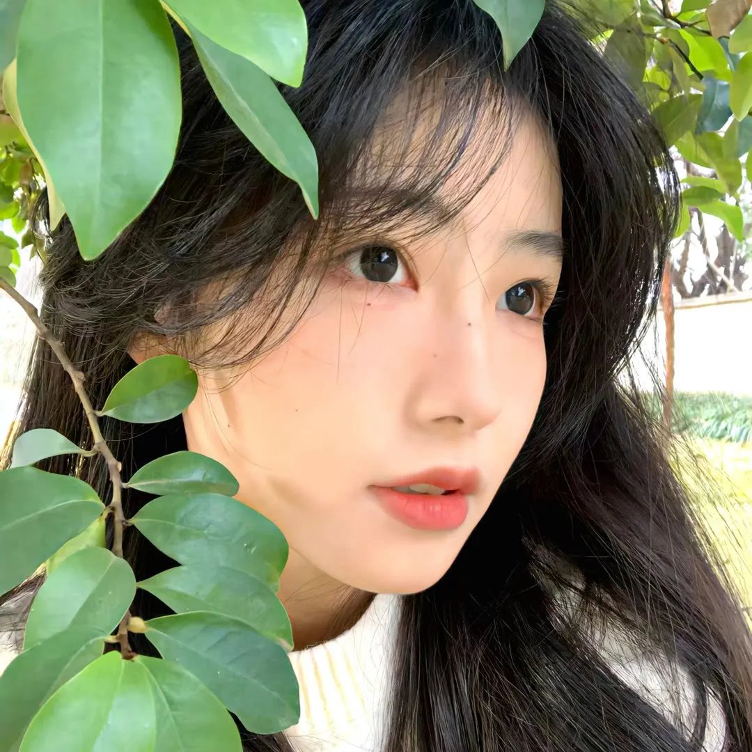 夜与雾