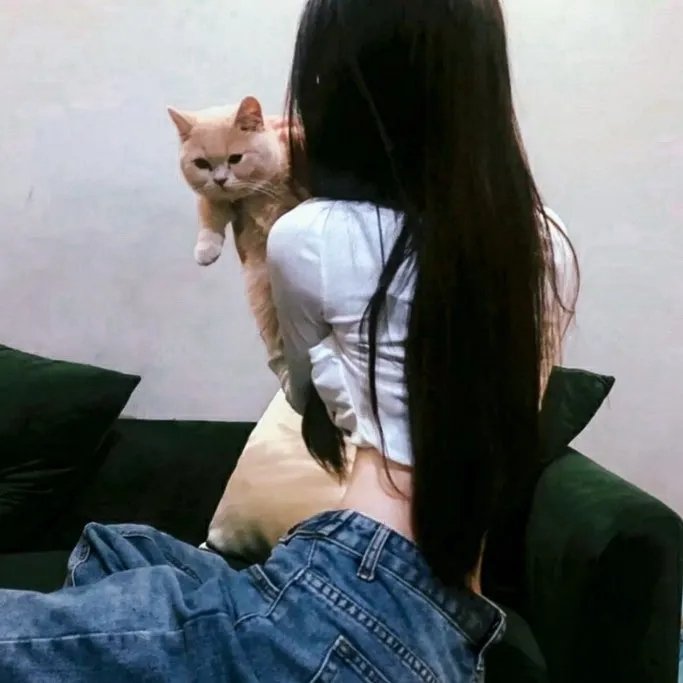 哲秀与英熙